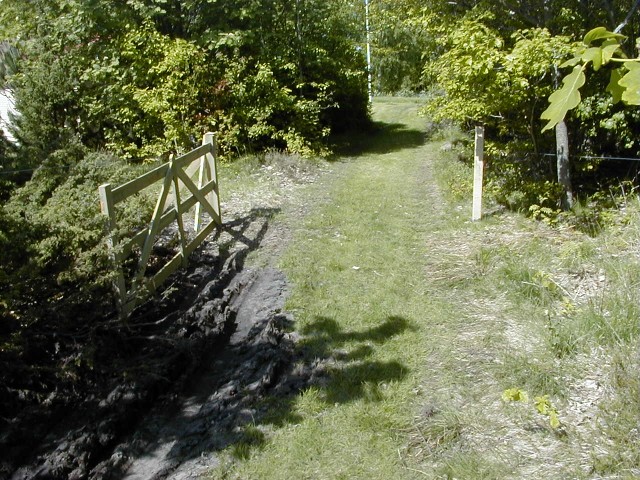 bild10.jpg