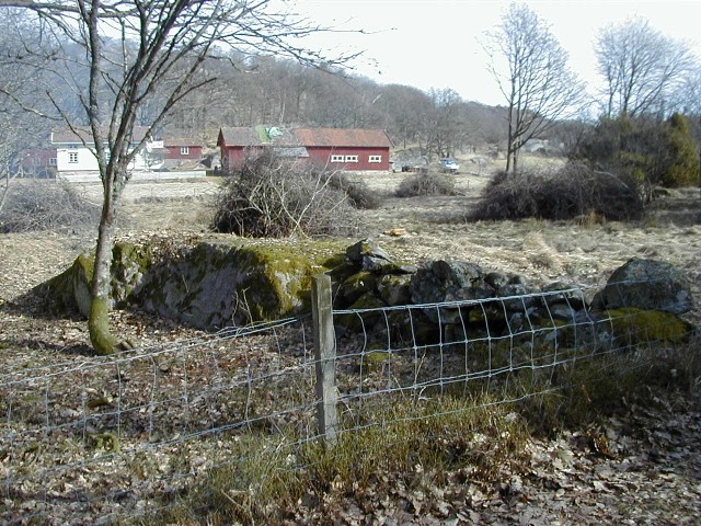 rojning7.jpg