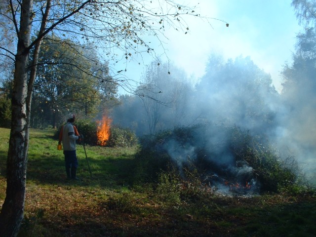 2003eldning05.jpg