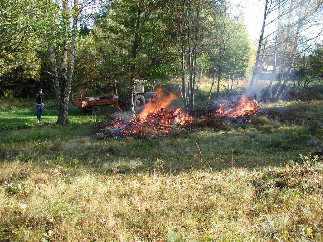 kvisteldning01.jpg