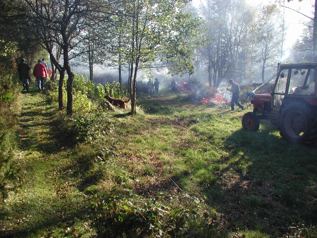 kvisteldning03.jpg