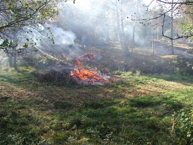 kvisteldning05.jpg