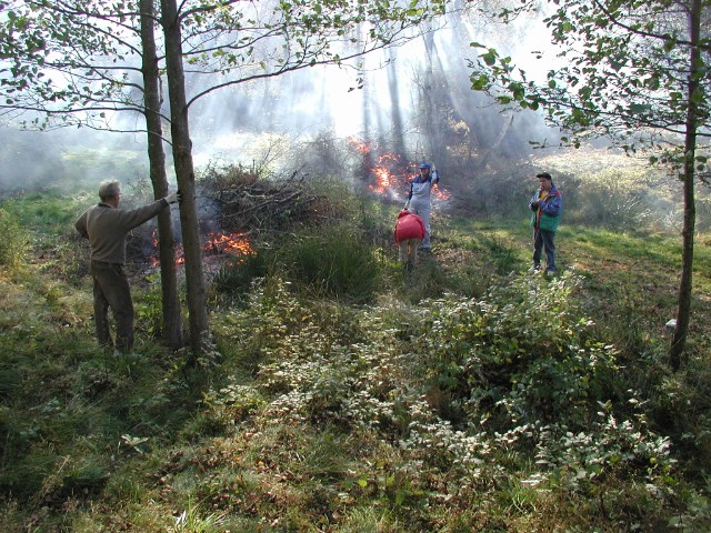 kvisteldning06.jpg