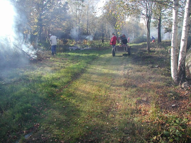 kvisteldning09.jpg