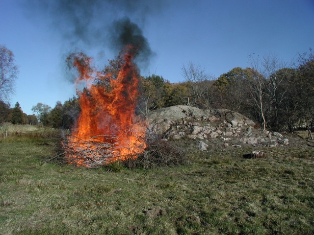 kvisteldning23.jpg