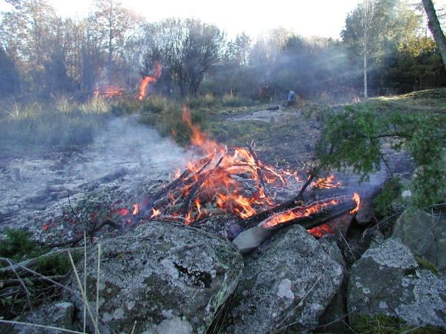 kvisteldning26.jpg