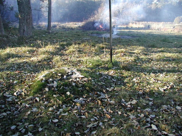 kvisteldning27.jpg