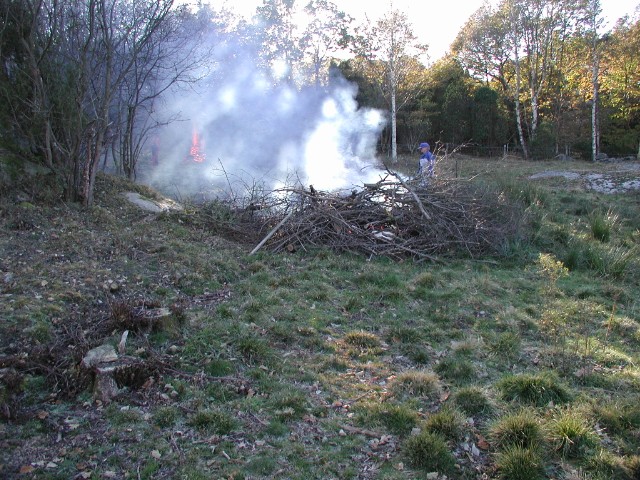 kvisteldning28.jpg