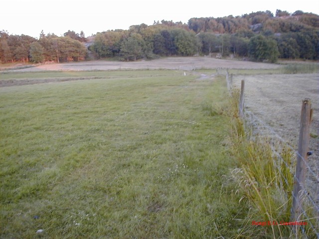 nyslaget03.jpg