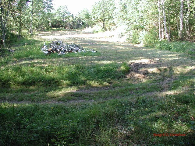 nyslaget06.jpg
