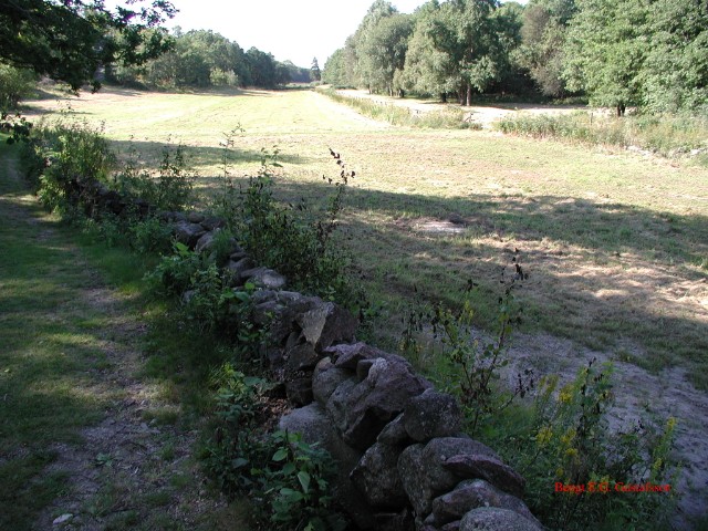 nyslaget09.jpg