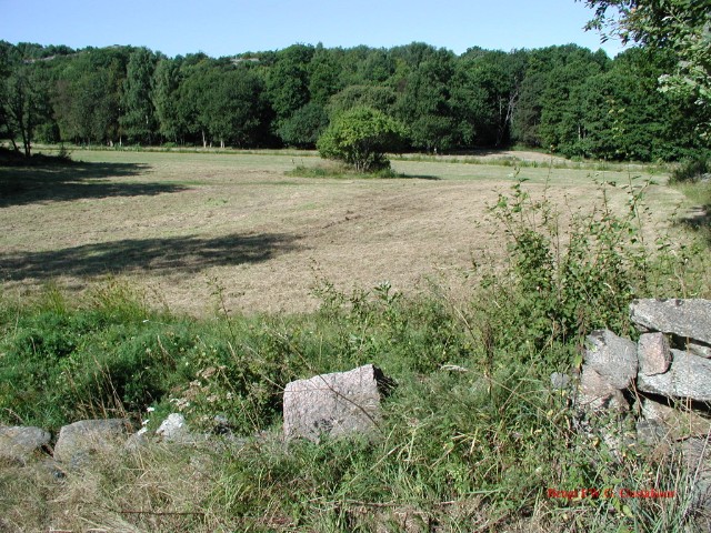 nyslaget10.jpg