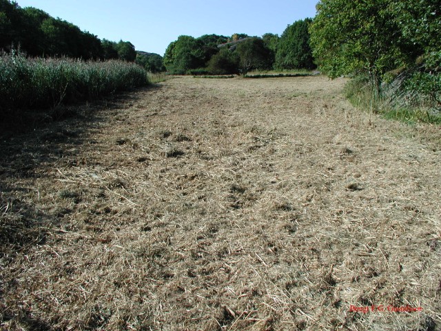 vass02.jpg