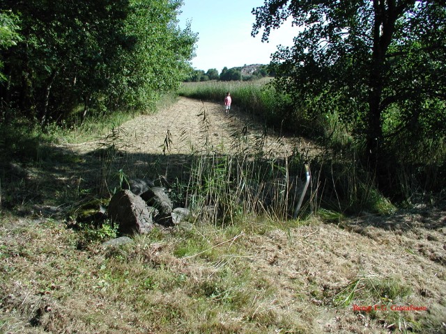 vass03.jpg