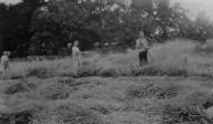 Ernst, Sigrid och Harald