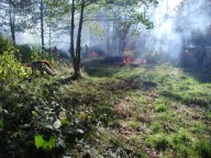 kvisteldning04.jpg