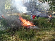 kvisteldning07.jpg