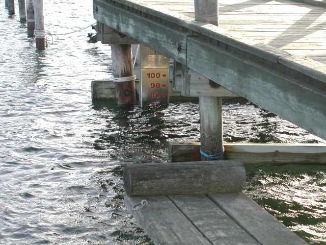 2005jan01.jpg