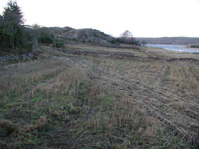 2005jan04.jpg