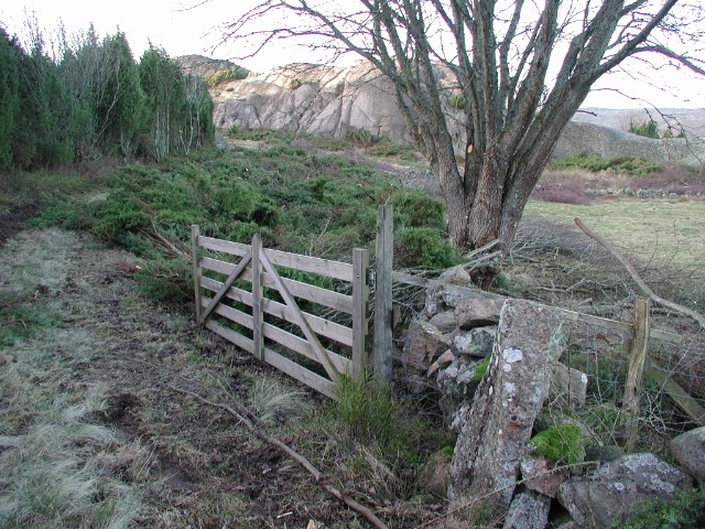 2005jan05.jpg