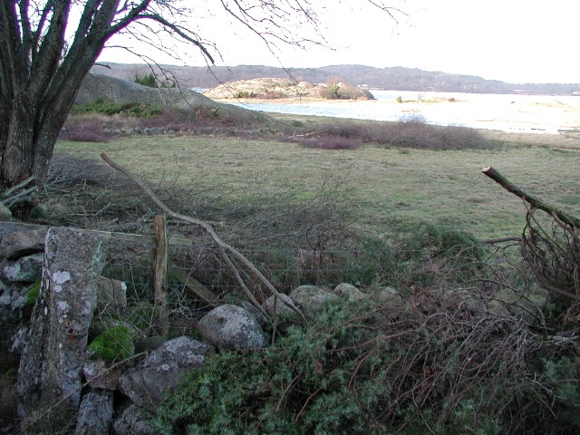 2005jan06.jpg