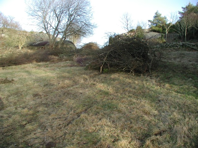 2005jan08.jpg