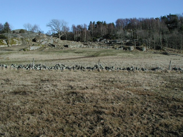 rojning04.jpg