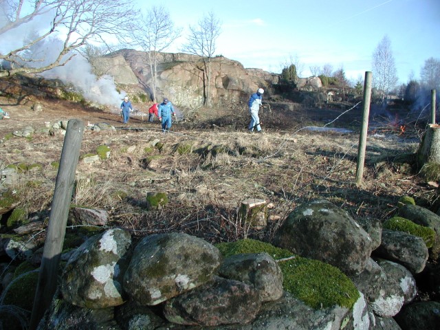 rojning08.jpg