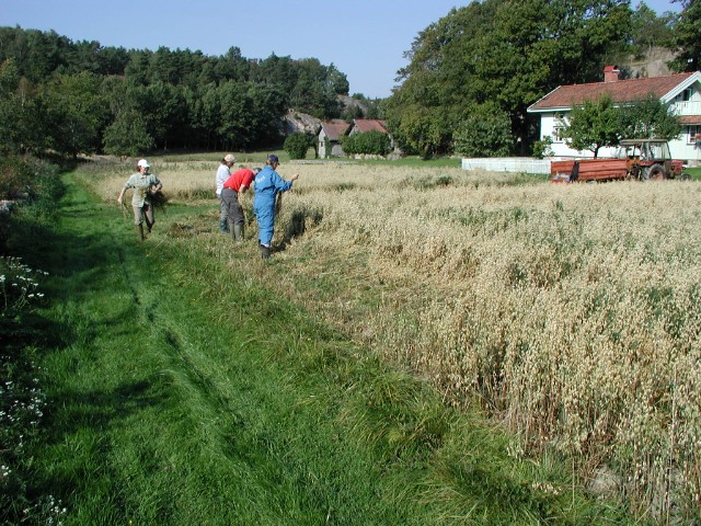 taapp04 3.jpg
