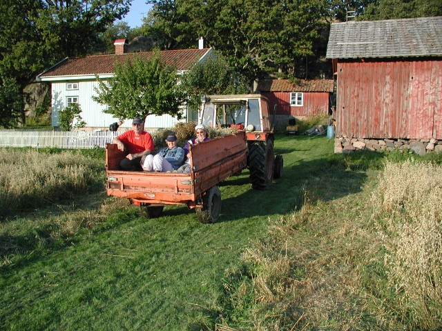 taapp12.jpg