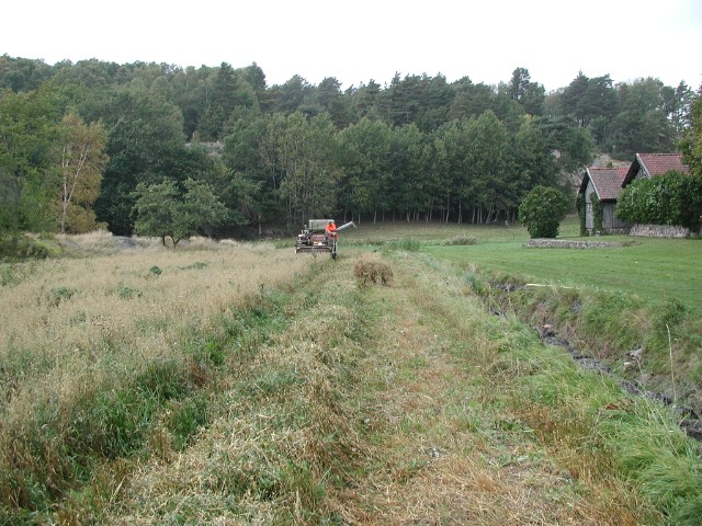 trosk02.jpg