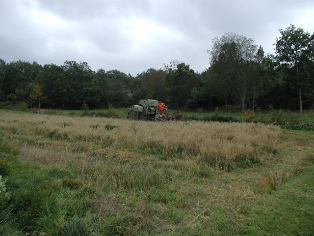 trosk06.jpg