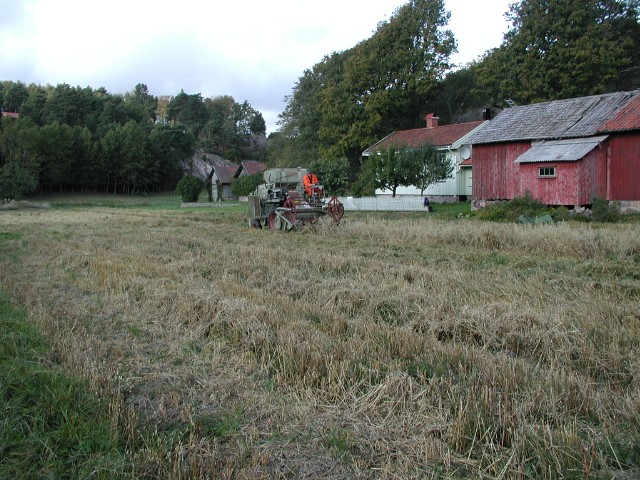 trosk11.jpg