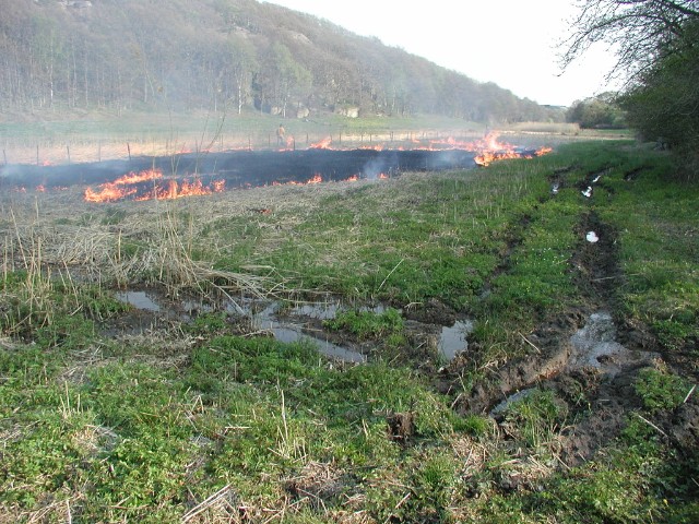 vassen02.jpg