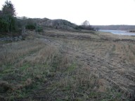 2005jan04.jpg