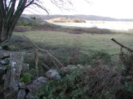 2005jan06.jpg