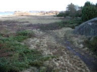 2005jan07.jpg