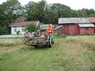trosk04.jpg