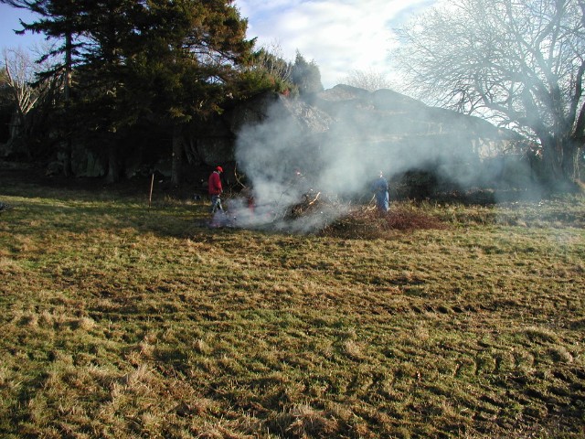 roj51101.jpg