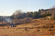 roj51113.jpg