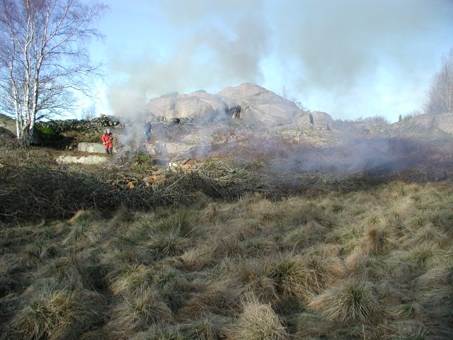 117.jpg