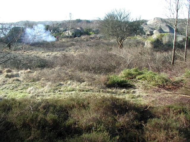 122.jpg
