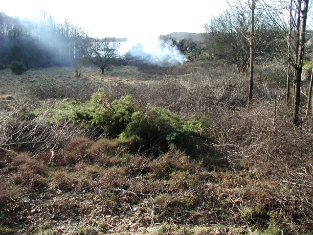 124.jpg