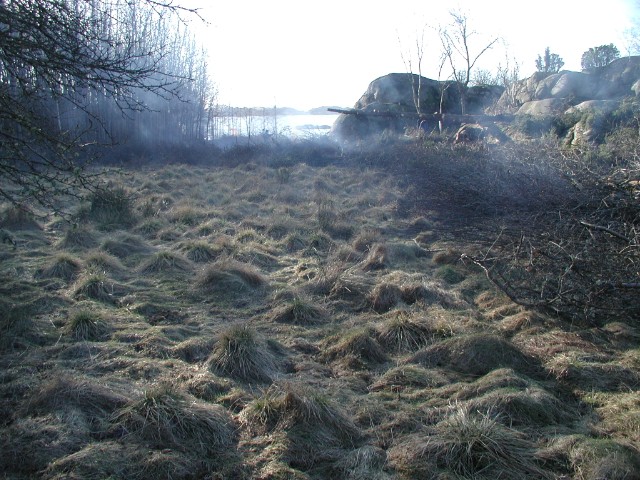 127.jpg