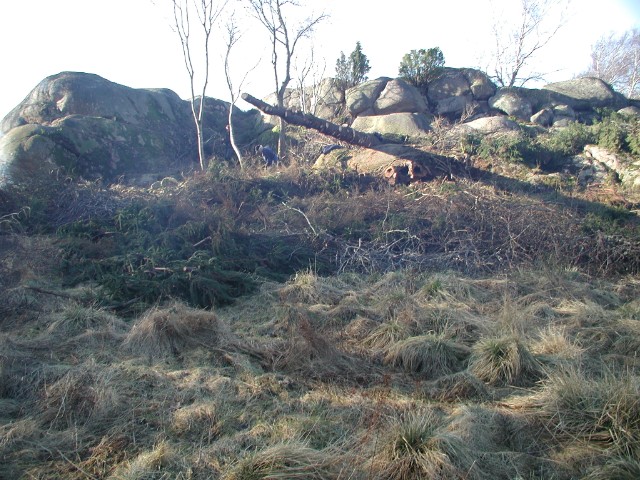 129.jpg