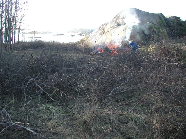 132.jpg