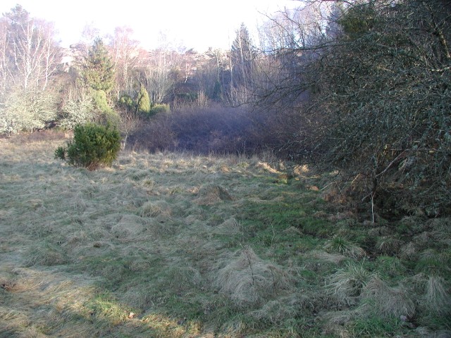 135.jpg