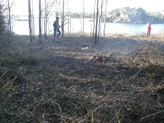 138.jpg