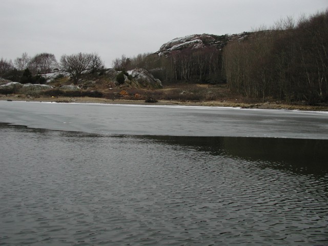 156.jpg