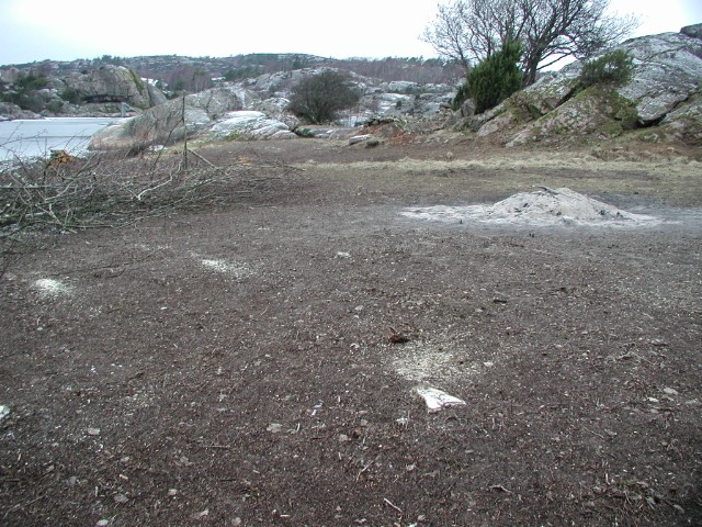 160.jpg